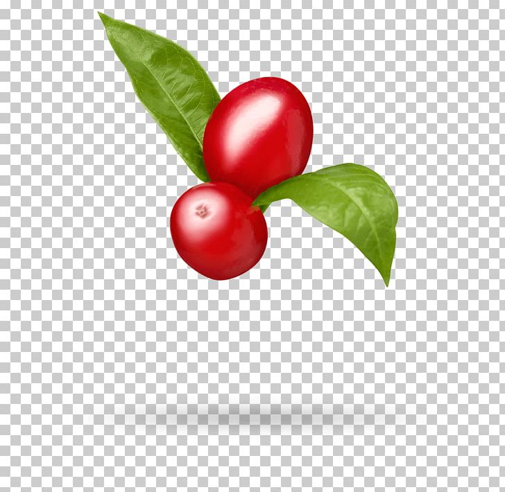 Barbados Cherry Lingonberry Goji Cranberry Matrimony Vine PNG, Clipart, Acerola, Acerola Family, Antioxidant, Aquifoliaceae, Barbados Cherry Free PNG Download