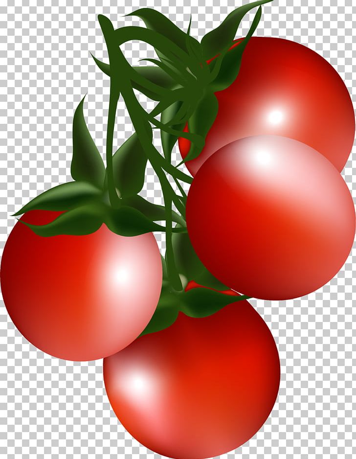 Cherry Tomato Bush Tomato PNG, Clipart, Balloon Cartoon, Blog, Boy , Cartoon Character, Cartoon Eyes Free PNG Download