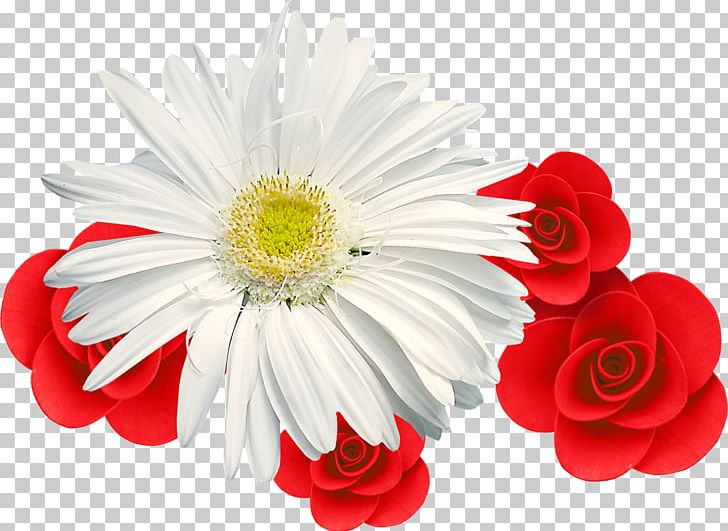 Chrysanthemum Desktop Muscle PNG, Clipart, Artificial Flower, Camomile, Chrysanths, Color, Computer Icons Free PNG Download
