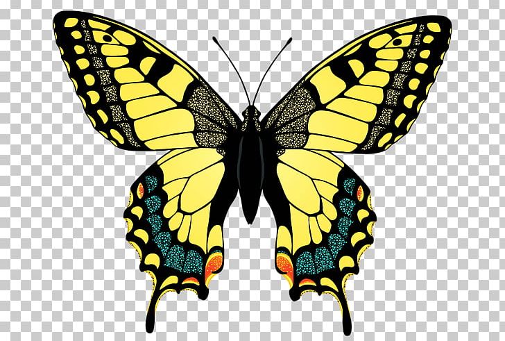 Swallowtail Butterfly Eastern Tiger Swallowtail Insect Yellow PNG, Clipart, Arthropod, Black Swallowtail, Brush Footed Butterfly, Butterflies And Moths, Butterfly Free PNG Download