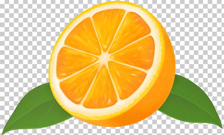 Lemon Mandarin Orange Grapefruit Lime PNG, Clipart, Bitter Orange, Citric Acid, Citrus, Clementine, Diet Food Free PNG Download