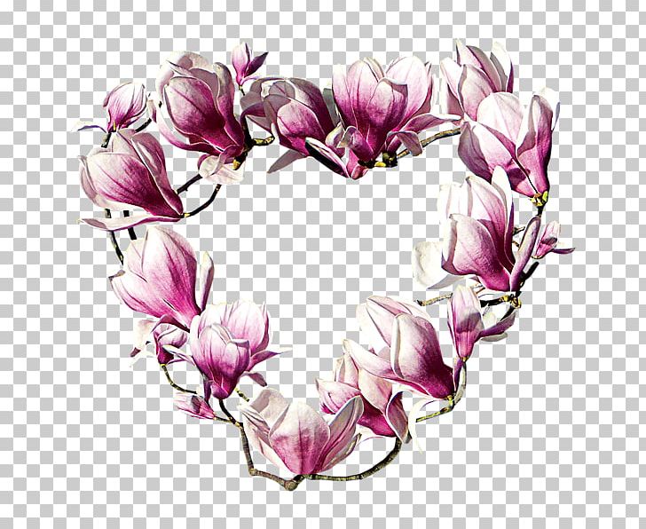 Magnolia Badge Garden Club Flower Zazzle PNG, Clipart, Badge, Branch, Floral Design, Flower, Flowering Plant Free PNG Download