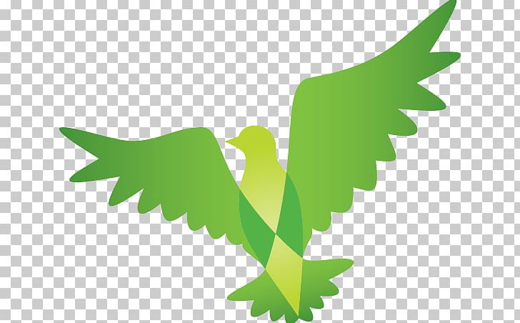 Paper Logo Bird Seal Sticker PNG, Clipart, Beak, Bird, Branch, Company Seal, Fan Free PNG Download