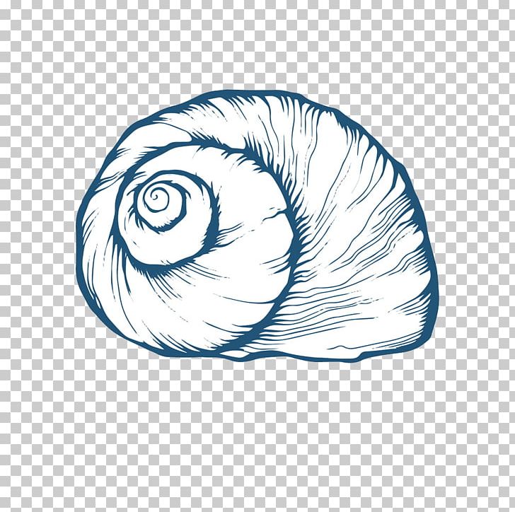 Seashell Oyster Drawing PNG, Clipart, Black And White, Cartoon Conch, Circle, Conch, Conchs Free PNG Download
