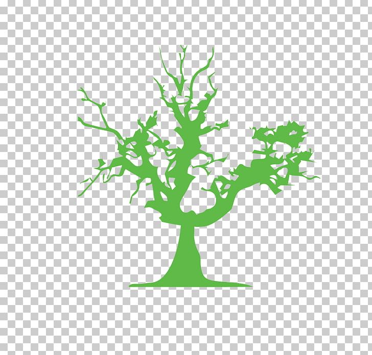 Tree Euclidean Arecaceae PNG, Clipart, Arecaceae, Branch, Branches, Bush, Christmas Tree Free PNG Download