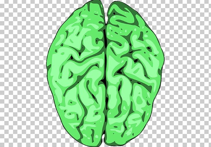 Human Brain Computer Icons PNG, Clipart, App, Brain, Brainwash, Computer Icons, Drawing Free PNG Download