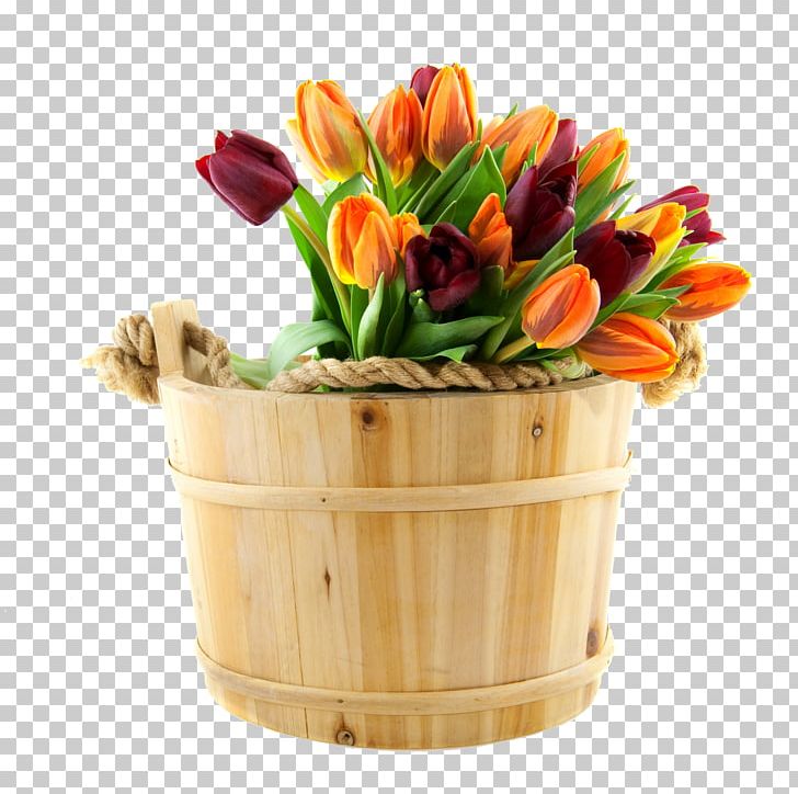 Tulip Flower Bouquet Blume Cut Flowers PNG, Clipart, 720p, Blume, Color, Cut Flowers, Desktop Wallpaper Free PNG Download