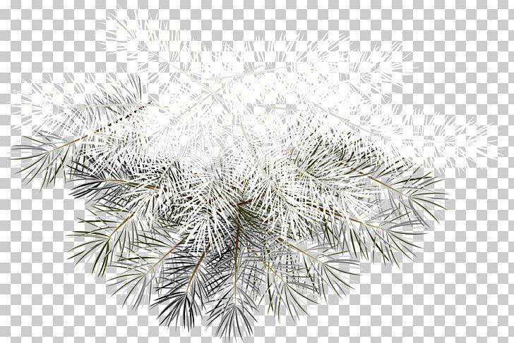 Christmas Ornament PNG, Clipart, Black And White, Branch, Christmas, Christmas Decoration, Christmas Ornament Free PNG Download