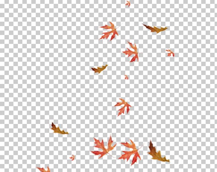 Red Maple Maple Leaf PNG, Clipart, Autumn Leaf, Autumn Leaf Color, Euclidean Vector, Green, Green Leaf Free PNG Download