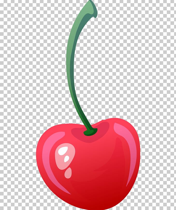 Cherry Fruit Drawing PNG, Clipart, Auglis, Beautiful, Beautiful Girl, Beautiful Vector, Beauty Free PNG Download