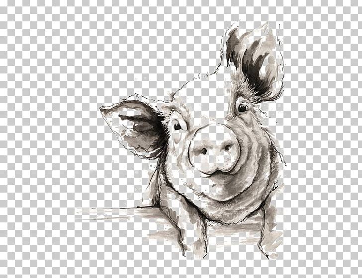 Domestic Pig Drawing Watercolor Painting Illustration PNG, Clipart, Animals, Arrow Sketch, Boar, Border Sketch, Cartoon Free PNG Download