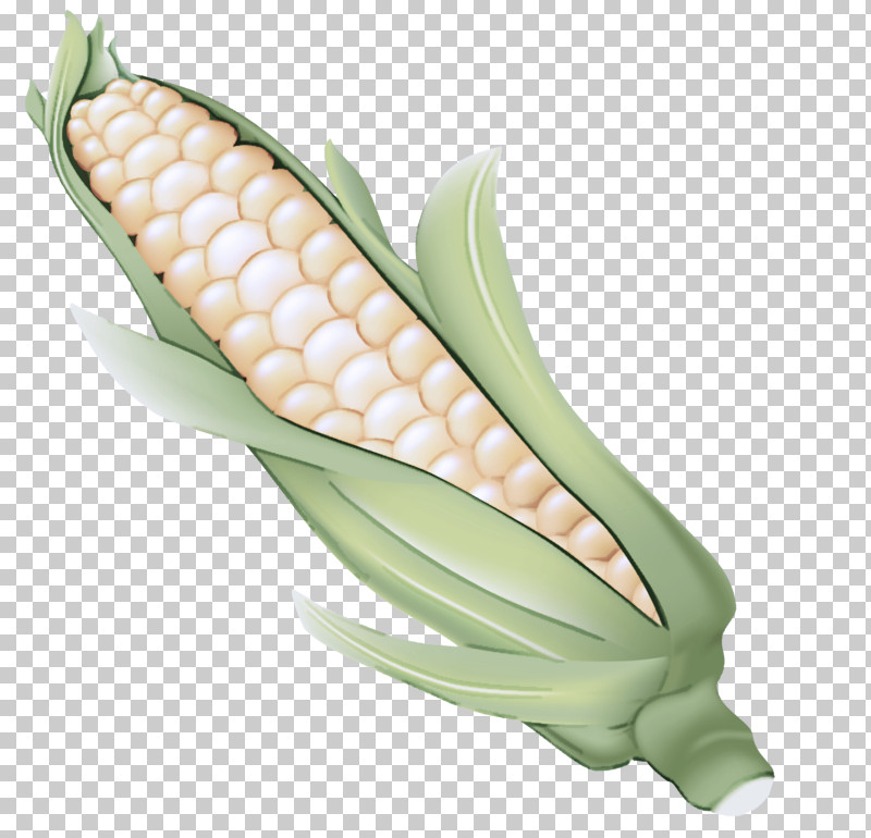 Corn On The Cob Sweet Corn Corn Vegetable Corn Kernels PNG, Clipart, Anthurium, Corn, Corn Kernels, Corn On The Cob, Cuisine Free PNG Download