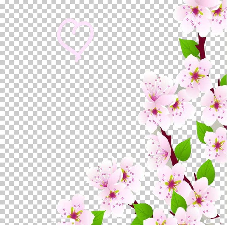 Cherry Blossom Cerasus PNG, Clipart, Branch, Cherry, Computer Wallpaper, Dream, Encapsulated Postscript Free PNG Download