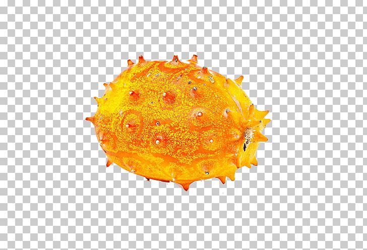 Horned Melon Fruit Cucumber PNG, Clipart, Africa, Cucumber, Exotic, Food, Fresh Free PNG Download