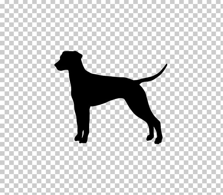 IStock Dog Crocs Clothing Accessories PNG, Clipart, Black, Black And White, Carnivoran, Clock, Clothing Free PNG Download
