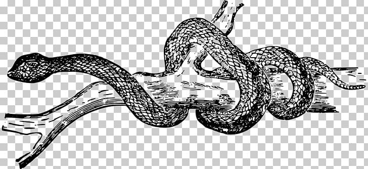 Black Rat Snake Reptile PNG, Clipart, Animal, Animals, Art, Artwork, Automotive Design Free PNG Download