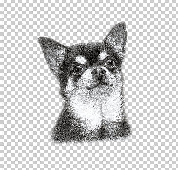 Chihuahua Puppy Dog Breed Companion Dog Drawing PNG, Clipart, Artist, Black And White, Canvas, Canvas Print, Carnivoran Free PNG Download