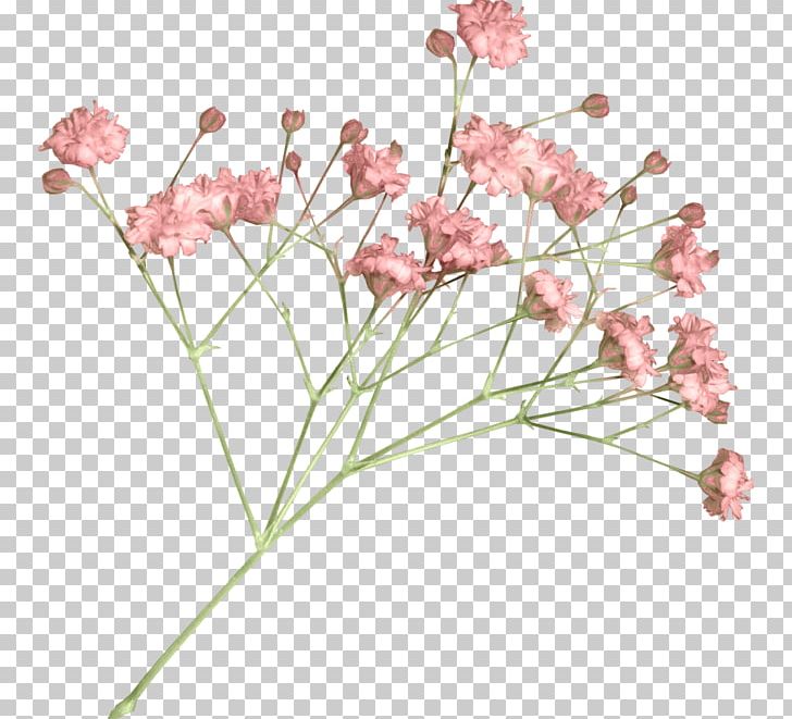 Flower PNG, Clipart, Blossom, Bouquet Of Flowers, Branch, Cherry Blossom, Cut Flowers Free PNG Download