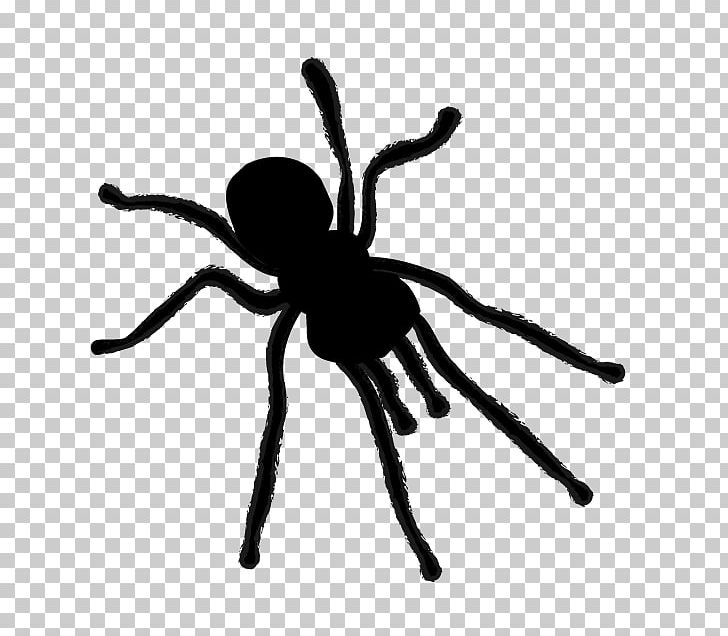 Spider Silhouette PNG, Clipart, Animal, Arachnid, Arthropod, Berrett Pest Control, Black And White Free PNG Download