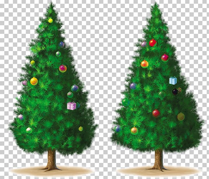 Christmas Tree Spruce Pine PNG, Clipart, Advent, Blog, Bombka, Christmas, Christmas Decoration Free PNG Download