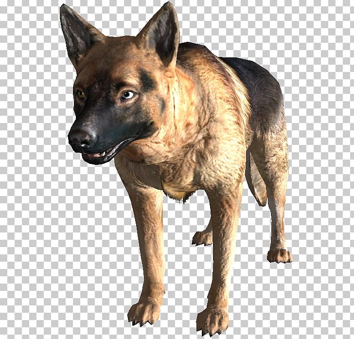 fallout 3 how to get dogmeat