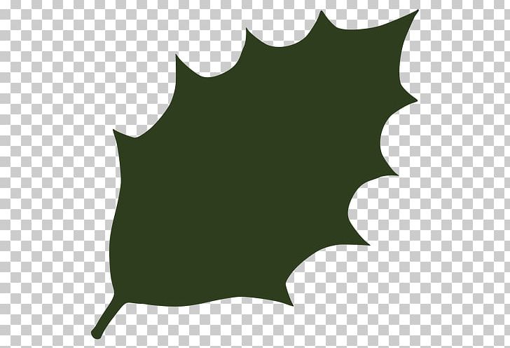 Maple Leaf Green PNG, Clipart, Black, Color, Drawing, Green, Holly Free PNG Download