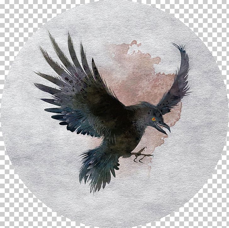 Tamaulipas Crow Bird Hawk PNG, Clipart, Animals, Baidu Tieba, Beak, Bird, Bird Of Prey Free PNG Download