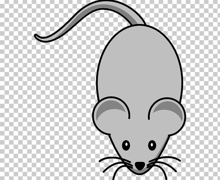Computer Mouse House Mouse Free Content PNG, Clipart, Black, Carnivoran, Cat Like Mammal, Computer, Face Free PNG Download