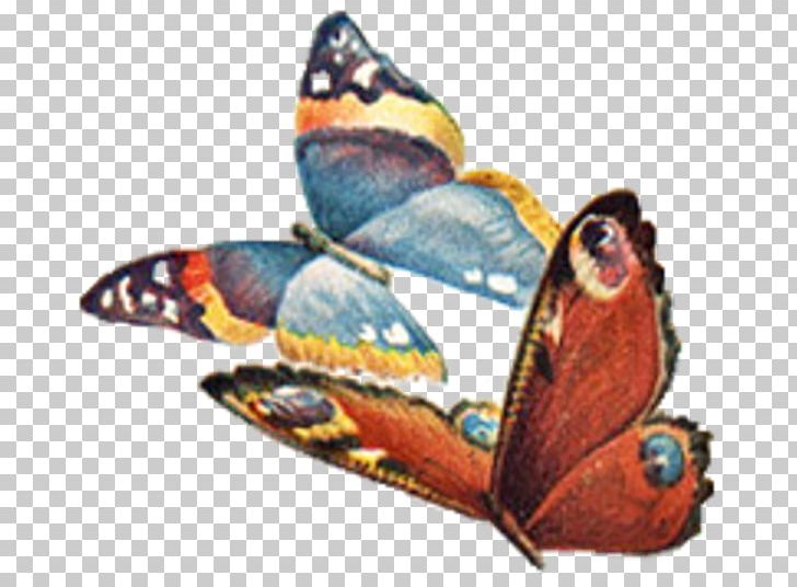 Plain City PNG, Clipart, Butterfly, Color, Com, Crochet, Insect Free PNG Download