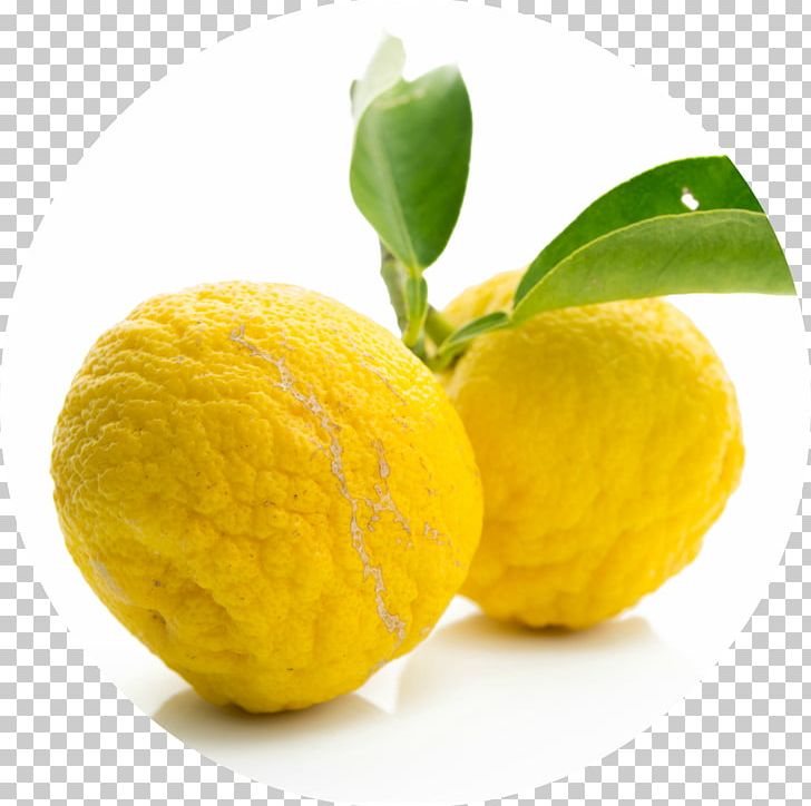 Citrus Junos Juice Citron Citrus Fruit Pomelo PNG, Clipart, Bitter Orange, Citric Acid, Citron, Citrus, Citrus Fruit Free PNG Download