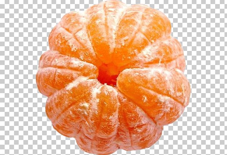 Fruit Mandarin Orange Tangerine Vegetable PNG, Clipart, Apricot, Citrus, Clementine, Coconut, Danish Pastry Free PNG Download
