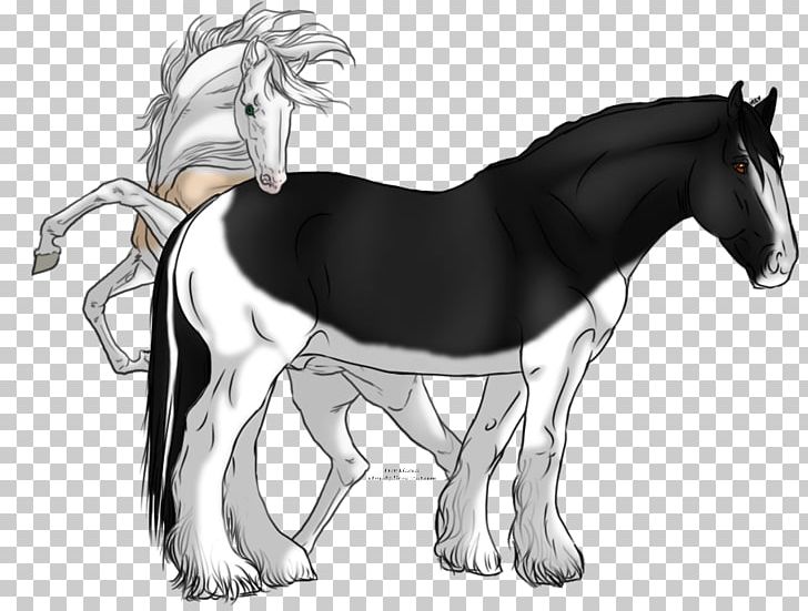 Stallion Mustang Shire Horse Foal Pony PNG, Clipart, Drawing, Fictional Character, Foal, Halter, Horse Free PNG Download
