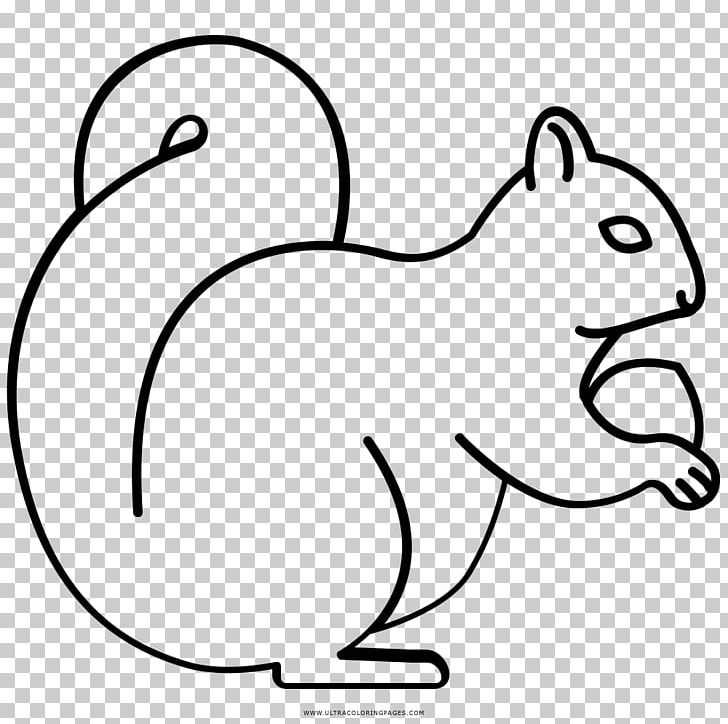 Whiskers Squirrel Rodent Drawing Coloring Book PNG, Clipart, Animal, Animals, Area, Beak, Black Free PNG Download