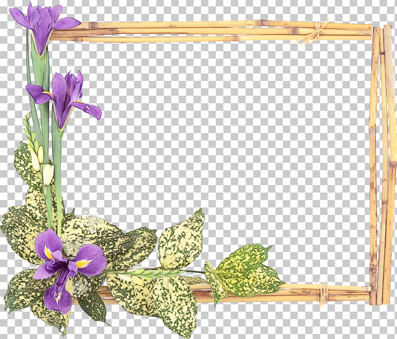 Picture Frame PNG, Clipart, Delphinium, Flower, Paint, Picture Frame, Plant Free PNG Download