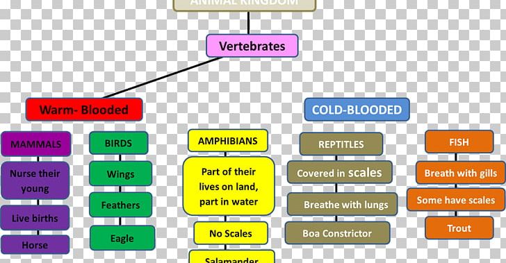 Concept Map Dye Sulfone PNG, Clipart, Angle, Animal, Area, Brand, Concept Free PNG Download