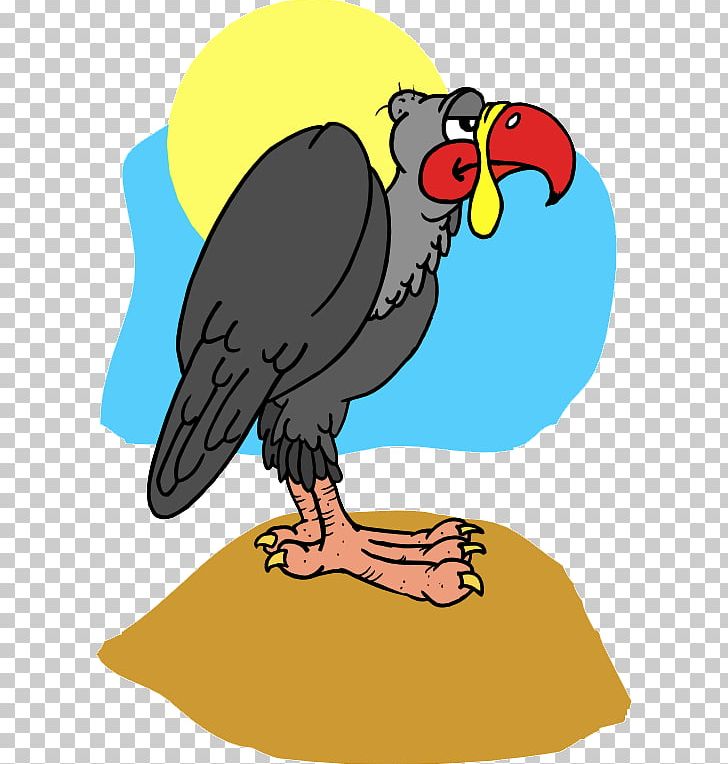 Macaw Hawk Buzzard Vulture PNG, Clipart, Animal, Artwork, Beak, Bird, Buzzard Free PNG Download