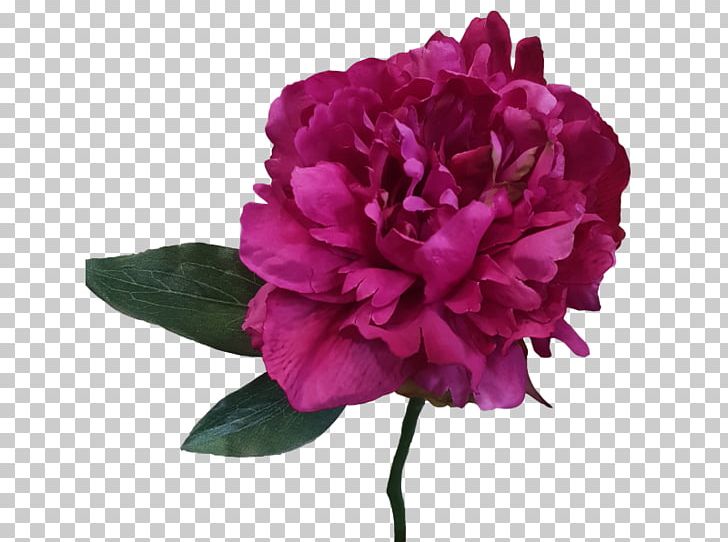 Peony Cut Flowers Artificial Flower Plant PNG, Clipart, Artificial Flower, Centifolia Roses, Cut Flowers, Flower, Flower Bouquet Free PNG Download
