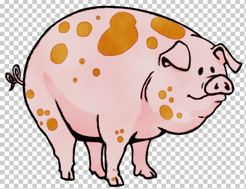Cartoon Snout Suidae Livestock Fawn PNG, Clipart, Cartoon, Fawn, Livestock, Paint, Snout Free PNG Download