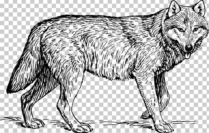 Drawing PNG, Clipart, Arctic Wolf, Artwork, Black And White, Black Wolf, Buffalo Wings Free PNG Download