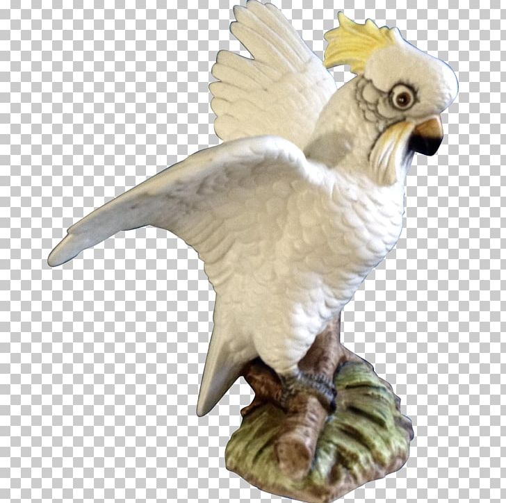 Bird Of Prey Animal Figurine Beak PNG, Clipart, Animal Figure, Animal Figurine, Animals, Beak, Bird Free PNG Download
