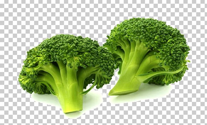 Broccoli Vegetable Cauliflower Food Cabbage PNG, Clipart, Broccoli, Broccoli Sprouts, Brokoli, Brussels Sprout, Cabbage Free PNG Download