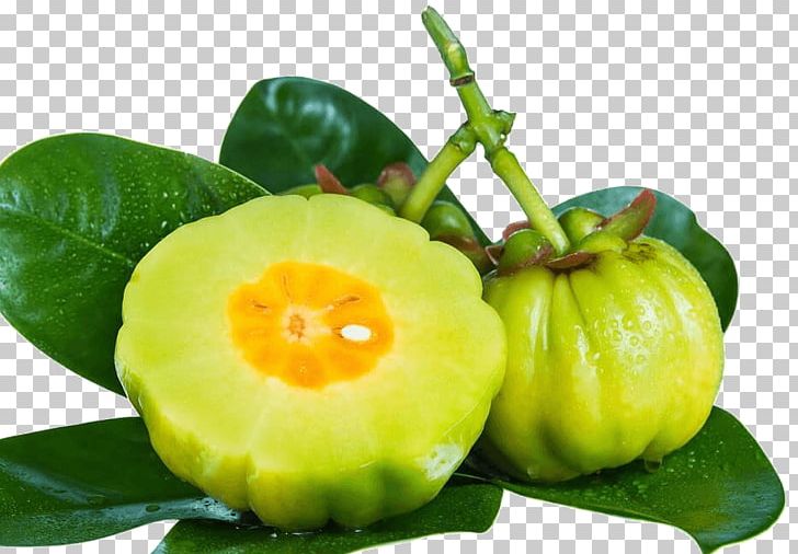 Garcinia Cambogia Dietary Supplement Weight Loss Hydroxycitric Acid Garcinia Indica PNG, Clipart, Anorectic, Antiobesity Medication, Citrus, Dietary Supplement, Diet Food Free PNG Download