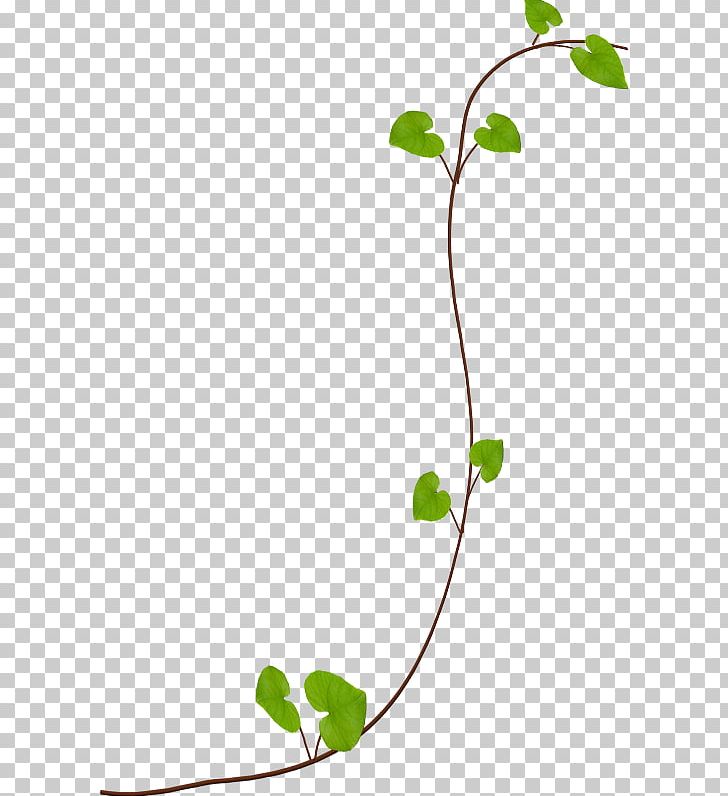 Leaf Animaatio PNG, Clipart, Animaatio, Baner, Branch, Flora, Flower Free PNG Download