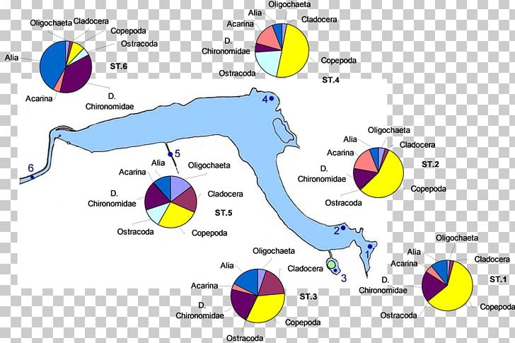 Line Point Diagram PNG, Clipart, Area, Diagram, Line, Point, Protect Water Resources Free PNG Download