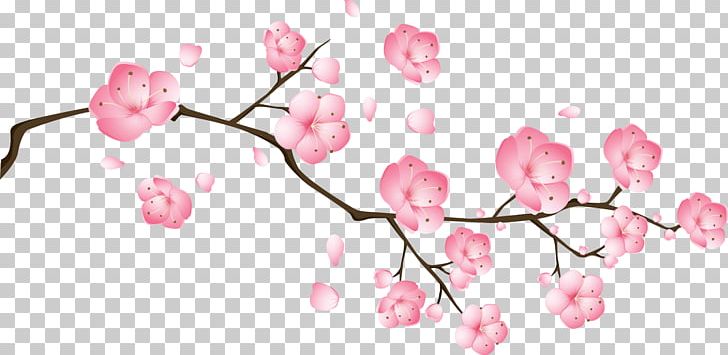 Blossom Pink Drawing PNG, Clipart, Branch, Cherry Blossom, Dessin Animxe9, Download, Encapsulated Postscript Free PNG Download