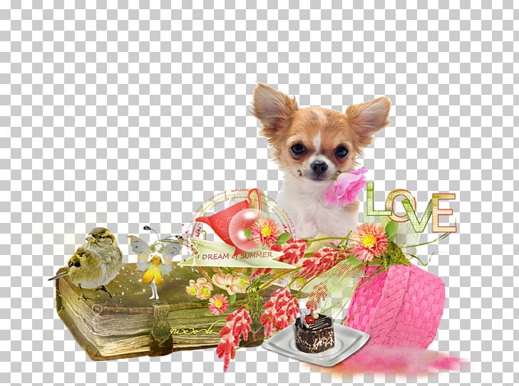 Chihuahua Puppy Yorkshire Terrier Dog Breed Companion Dog PNG, Clipart, Chihuahua, Companion Dog, Dog Breed, Joyeux, Puppy Free PNG Download