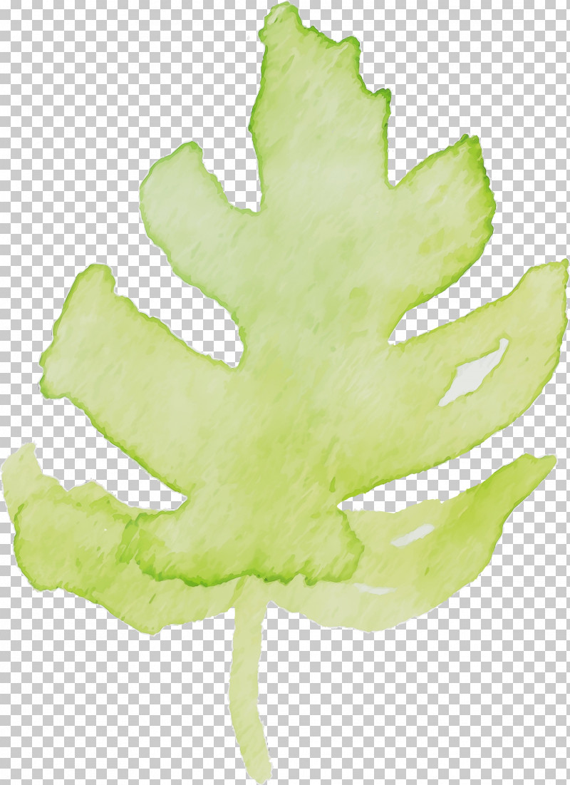 Maple Leaf PNG, Clipart, Green, Hand, Leaf, Maple Leaf, Paint Free PNG Download