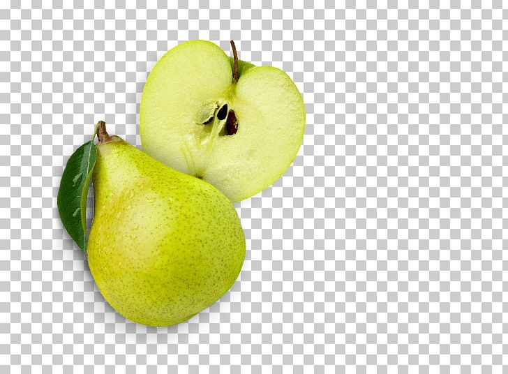 Granny Smith English Muffin Bagel Cream PNG, Clipart, Apple, Bagel, Bread Pudding, Cheese, Cheese Sandwich Free PNG Download