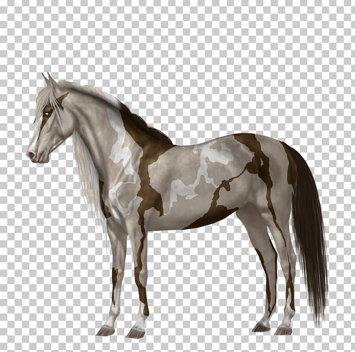 Mustang Mare Stallion Foal Rein PNG, Clipart, Bridle, Dog Harness, Foal, Halter, Horse Free PNG Download