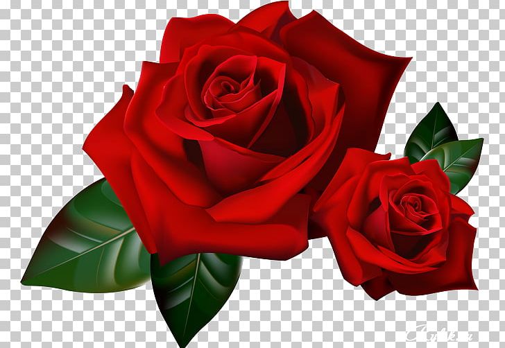 Rose Animation YouTube PNG, Clipart, Adobe Fireworks, Animation, Cut Flowers,  Download, Flora Free PNG Download